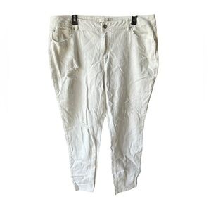 Cato Established 1946 Women’s Distressed Plus Size Jeans